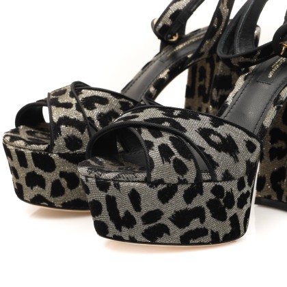DOLCE & GABBANA 