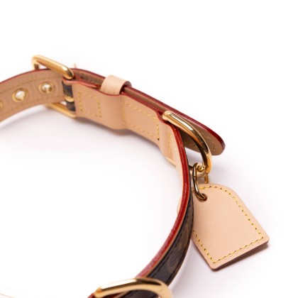 LOUIS VUITTON COOLAR PARA PERRO