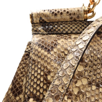 DOLCE & GABBANA 