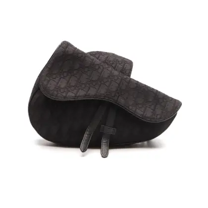 DIOR SADDLE
