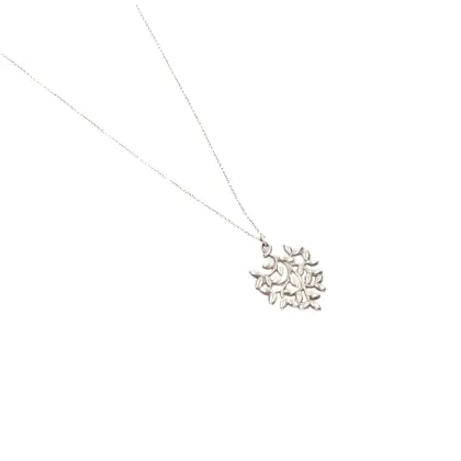 TIFFANY & CO 