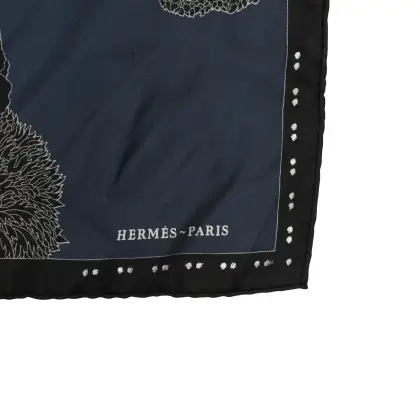 HERMES 