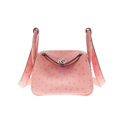 HERMES COLOR: BUBBLE GUM