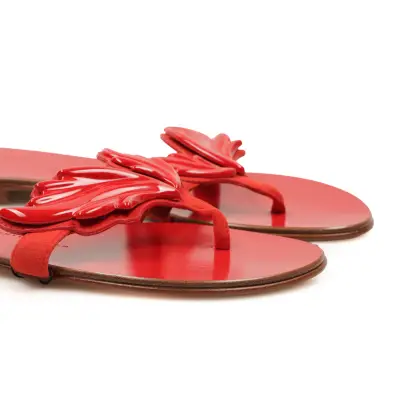 GIUSEPPE ZANOTTI 