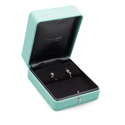 TIFFANY & CO 